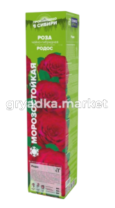 Скриншот 27-03-2025 143852-Photoroom