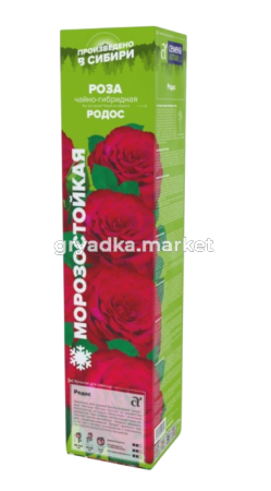 Скриншот 27-03-2025 143852-Photoroom