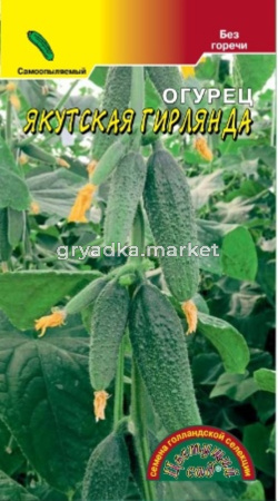 Огурец Якутская Гирлянда F1 0.3г Парт Ранн (Цвет сад)