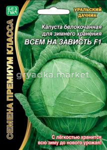 Капуста б-к Всем на зависть -для зимн.хранения-(УД) ЧСС