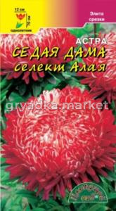 Астра СЕДАЯ ДАМА селект АЛАЯ Цвет.сад.