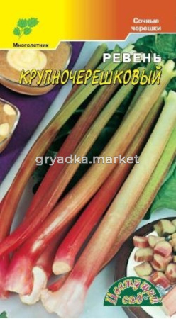 Ревень Крупночерешковый 0,3г (Цвет сад)