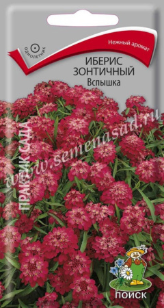 Иберис Вспышка 0,3г.Поиск