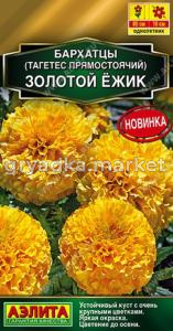 Бархатцы пр. Золотой ёжик 0,1г 80см (Аэлита)