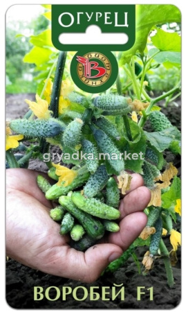 Огурец Воробей 10шт Пч Ранн (Биотехника)