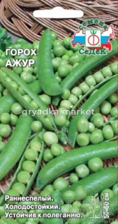 Горох Ажур (Седек)