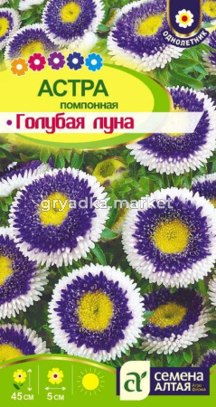 Астра Голубая Луна помпонная 0.15г Одн 45см (Сем Алт)