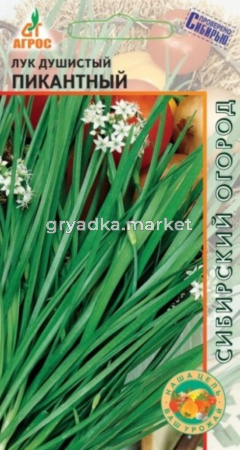 Лук душистый Пикантный 1г (Агрос)