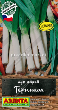 Лук порей Терминал 1г Ср (Аэлита)