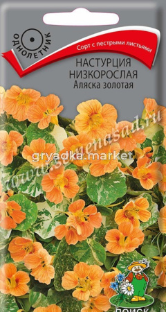 Настурция Аляска Золотая низкорослая 1г (Поиск)