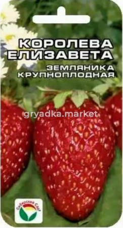 Земляника (Клубника) Королева Елизавета(Сиб. сад.)