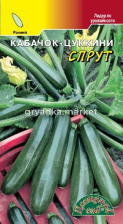 Кабачок Спрут 2г Ранн (Цвет сад)