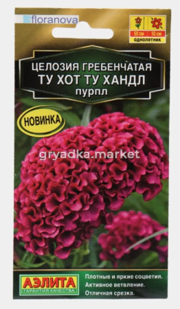 Целозия Ту хот ту хандл пурпл гребенчатая 5шт Одн 50см (Аэлита)