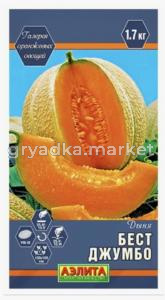 Дыня Бест Джумбо ---   Галерея оранжевых овощей 1г