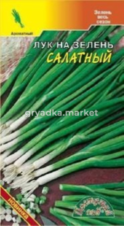 Лук на зелень Салатный Цвет.сад.