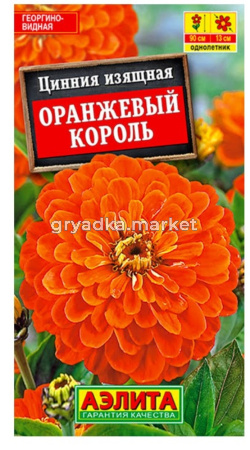 Цинния Оранжевый Король (Аэлита)