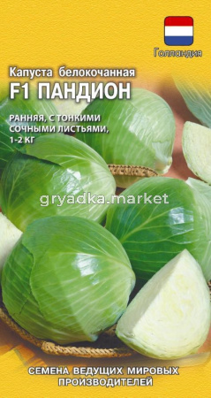 Капуста б-к Пандион F1 10шт в свеж виде (Гавриш)