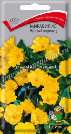 Мирабилис Желтый леденец 1г Поиск