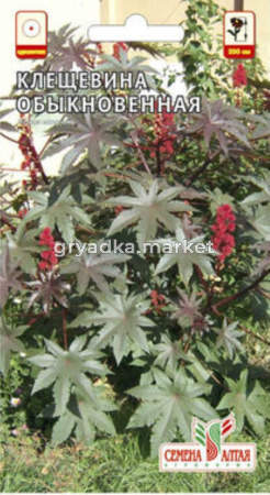 Клещевина Обыкновенная 3шт.- Сем Алт