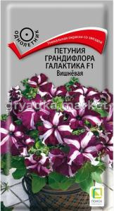 Петуния Галактика F1 Вишнёвая грандифлора 10шт Одн 50см (Поиск)