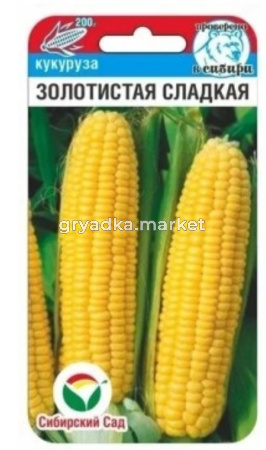 Кукуруза Золотистая сладкая F1 10шт (Сиб Сад) 