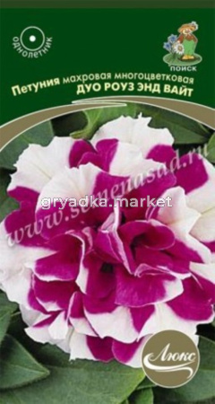 Петуния Дуо Роуз энд Вайт, махр.мнгцвет 10шт.Поиск