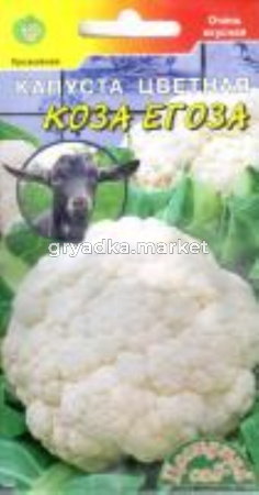 Капуста цветная Коза Егоза (Цвет сад)