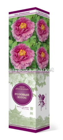 Пион древовидный Розовый Лотос 1шт (цветы розовый)