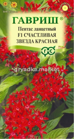 Пентас Счастливая звезда красная ланцетный F1 3шт Одн 40см (Гавриш) Н23
