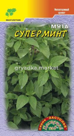Мята Суперминт -холодост.-Цвет.сад.