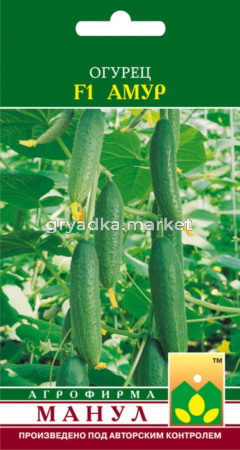 Огурец Амур F1,Парт,оч.урож. Манул