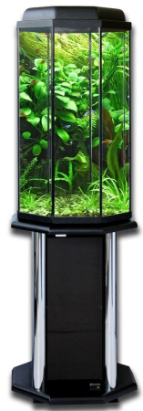 Тумба п-аквариум 100л Восьмигранник 1-1