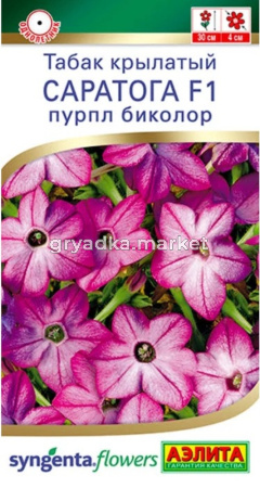 Табак крылатый Саратога F1 пурпл биколор 5шт Одн 30см (Аэлита)