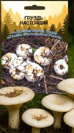 Мицелий Груздь настоящий 30мл (ССПК) Б/Ф