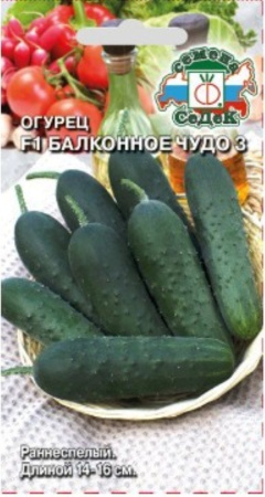 Огурец Балконное чудо 3 F1 0,2г Парт Ранн (Седек)  Огурец Балконное чудо 3 F1 0,2г Парт Ранн (Седек)