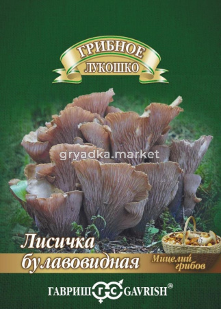 Мицелий Лисичка Булавовидная на зерновом субстрате 15 мл (Гавриш)