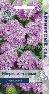 Иберис зонтичный Лилициана (ЦВ) (Ароматный сад