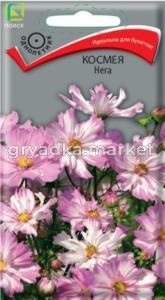 Космея Нега 10шт Одн 10см (Поиск)