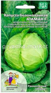 Скриншот 17-08-2026 165148
