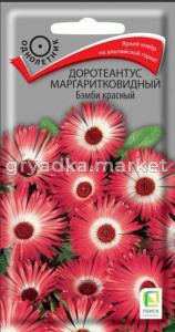 Доротеантус маргаритковидный  Бэмби красный (ЦВ) (