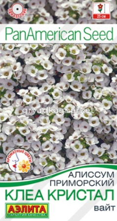 Алиссум Клеа кристал вайт 5 шт (драже в пробирке) (Аэлита) PanAmerican Seed