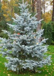 Скриншот 21-04-2026 104123