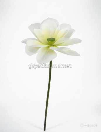diting_result_1ff54459a9d511f1bc4112b3f6efdfff_1