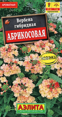 Вербена Абрикосовая 10шт Одн 20см (Аэлита)