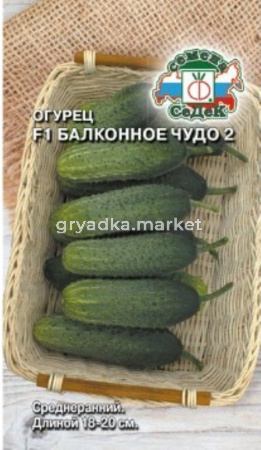Огурец Балконное чудо 2 F1 0,2г Парт Ранн (Седек) 