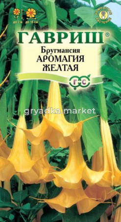 Бругмансия Аромагия Желтая 3шт.Н14 Гавриш