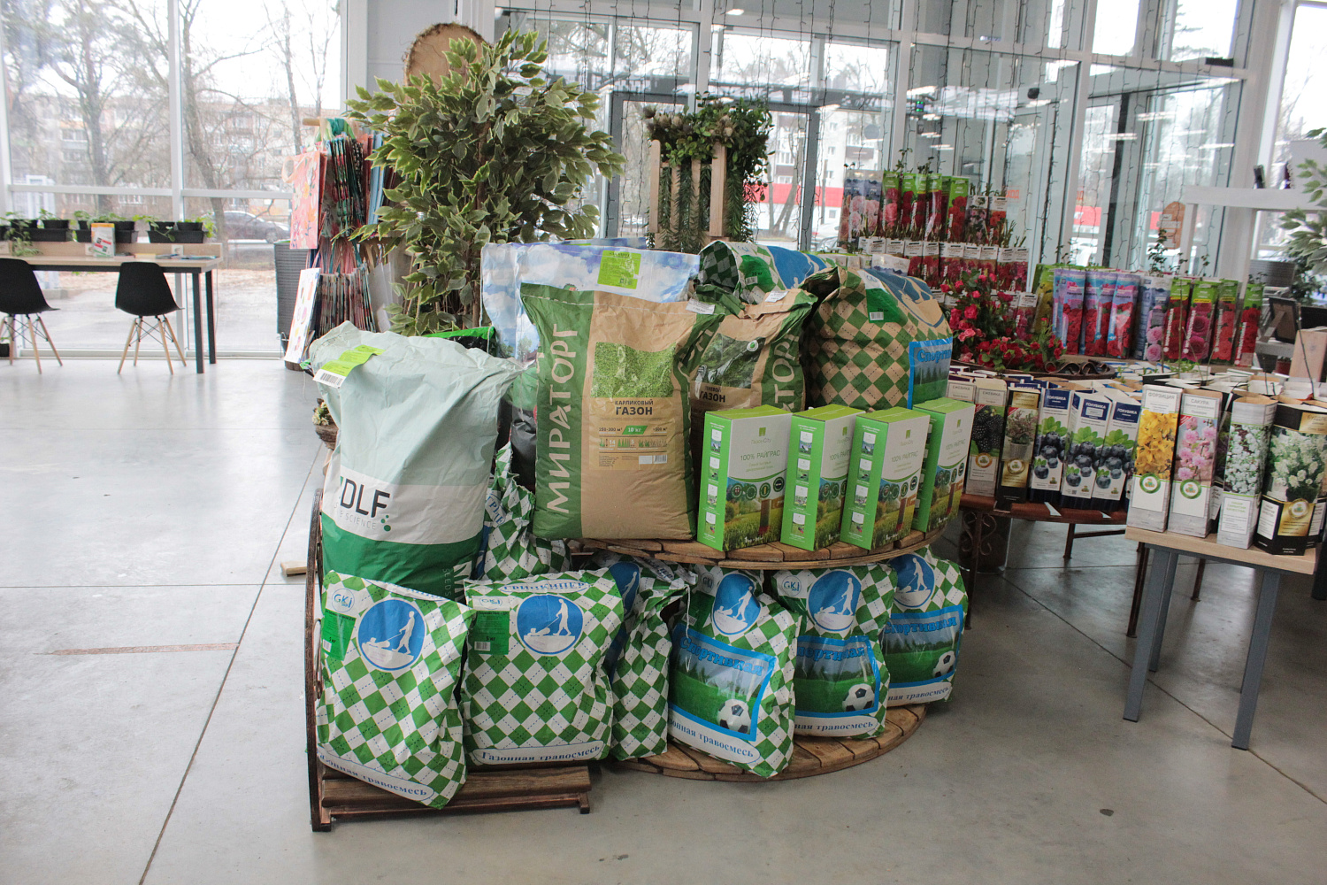 Идеальная лужайка: 5 секретов красивого газона