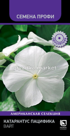 Катарантус Пацифика Вайт 10шт (Поиск)