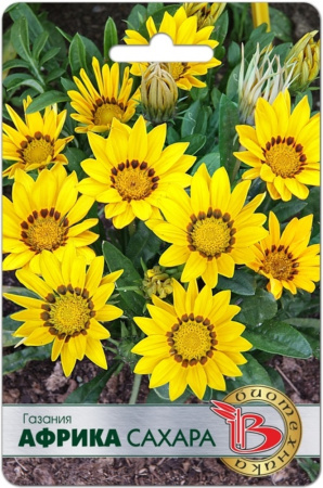 Газания Африка Сахара 7шт 20см (Биотехника) Газания Африка Сахара 7шт 20см (Биотехника)