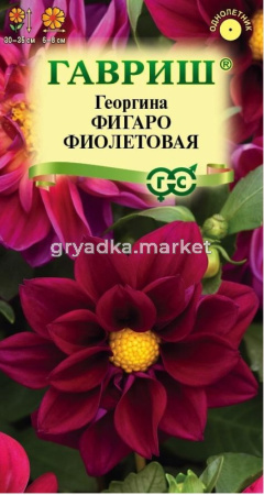 Георгина Фигаро фиолетовая 7шт Одн негранул. 30см (Гавриш)